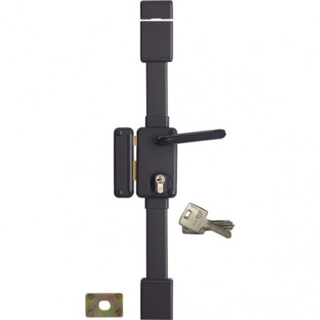 Serrure applique 3 points verticale Beluga