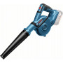 Souffleur sur batterie GBL 18 V-120
