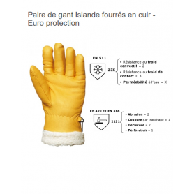 Froid