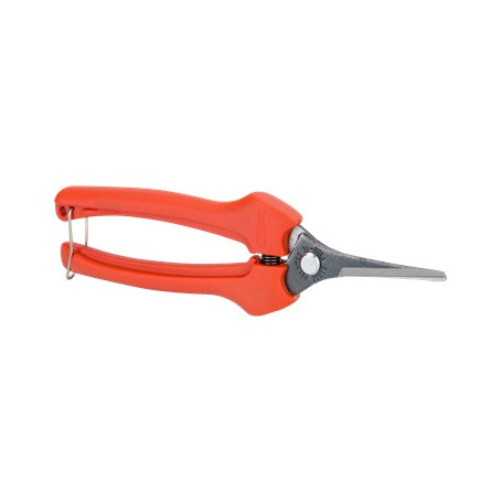 EPINETTE 128 LAMES DRTES LG.19