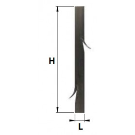BARREAU DE DEFENSE A EPINES - 40X6X2000 NOIR