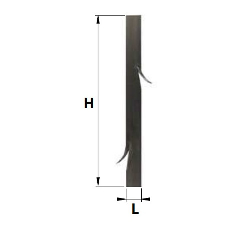BARREAU DE DEFENSE A EPINES - 40X6X2000 NOIR