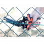 AGRAFEUSE MANUELLE A GRILLAGE AVEC CHARGEUR TOP GRAFER 20/22