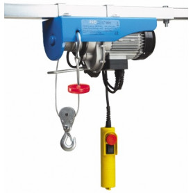 Palan électrique 125-250K 990G
