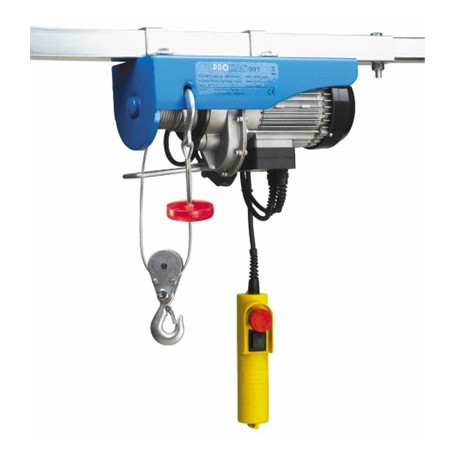 Palan électrique 125-250K 990G