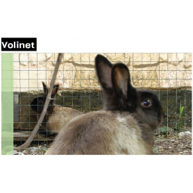 Elevage volailles, lapin...