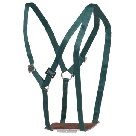 Harnais marqueur nylon, avec boucle de fermeture, pour bélier