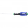 Tournevis RESISTORX®