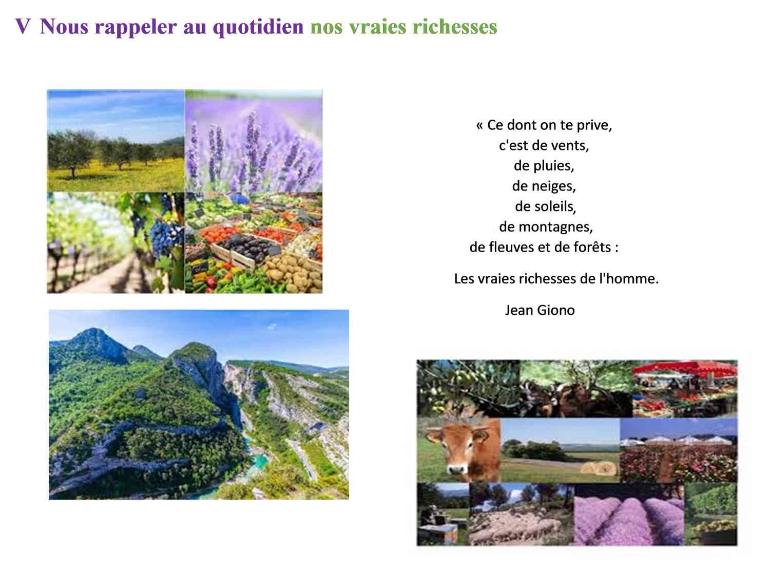 environmt_p6_reduit_v2.jpg